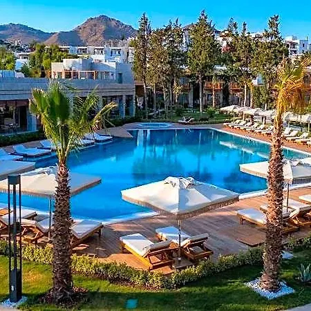 Suum Bodrum & - Adult Only 16 Hotel
