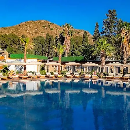 Suum Bodrum & - Adult Only 16 Hotel