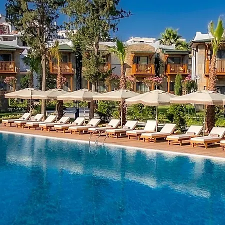 Suum Bodrum & - Adult Only 16 Hotel Turgutreis