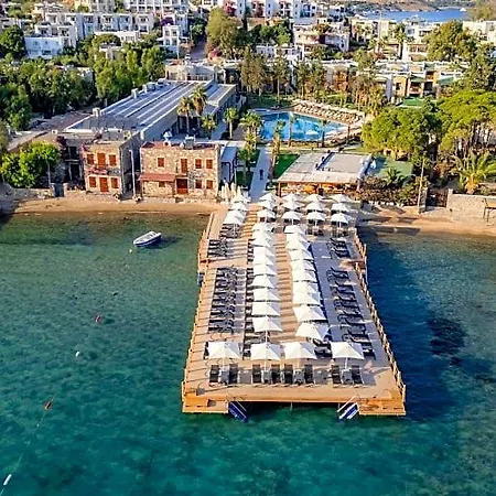 Suum Bodrum & - Adult Only 16