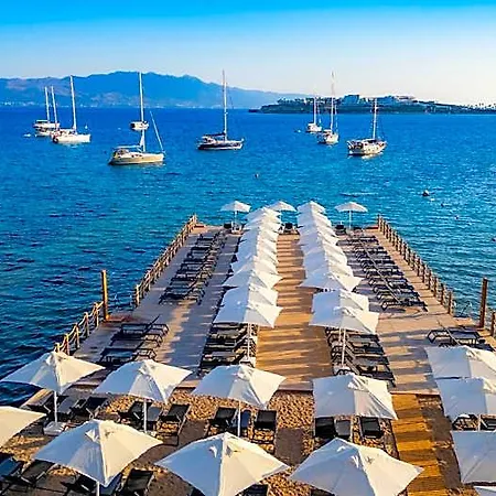 Suum Bodrum & - Adult Only 16